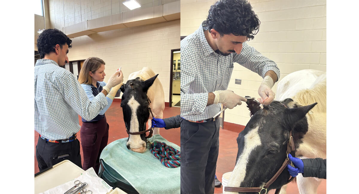 Equine Medical Center