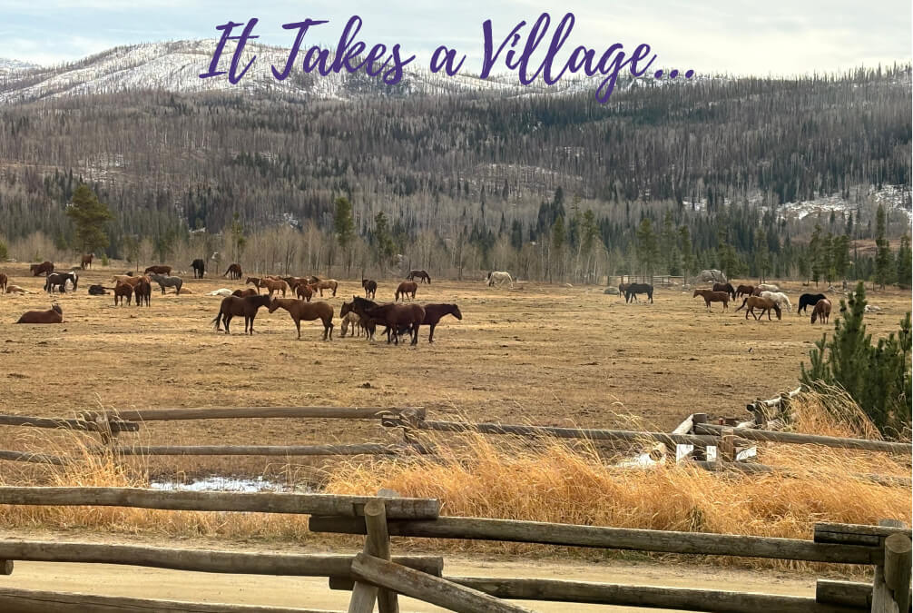 Community by trusted resource