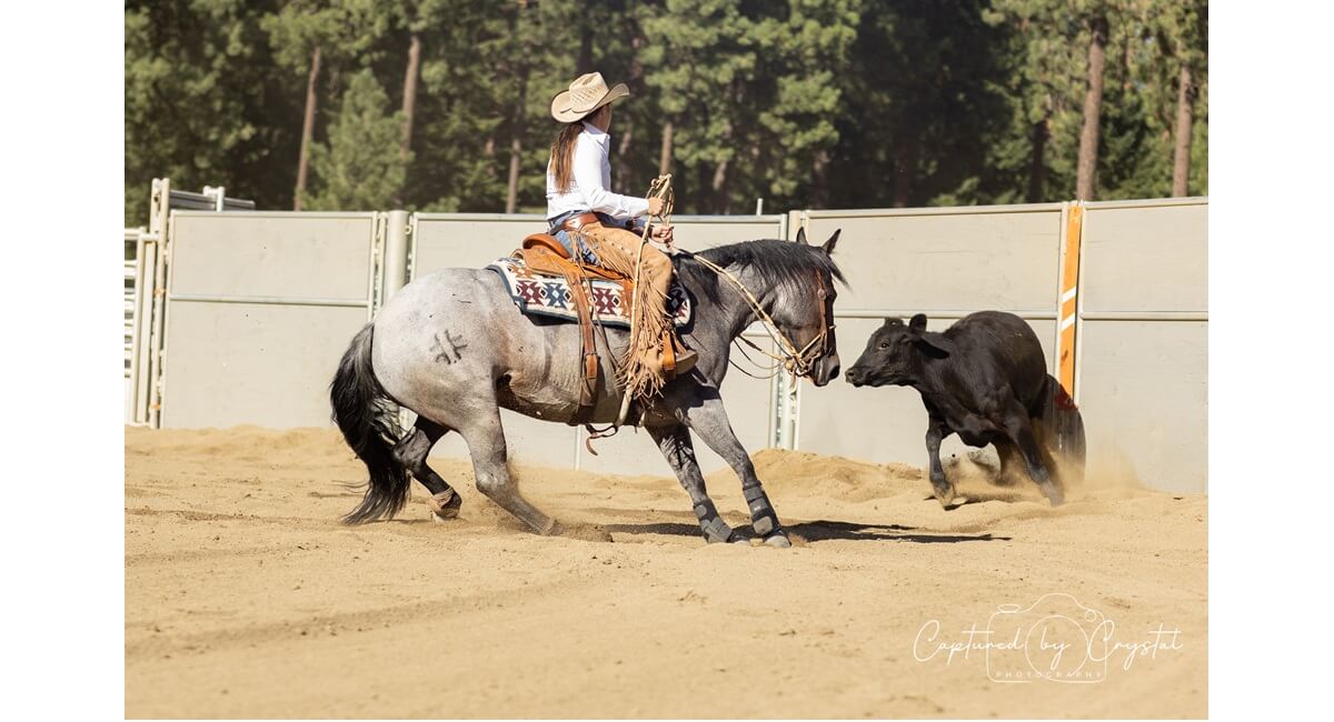 Cutting Horse Association