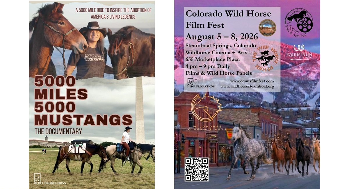 5000 Miles 5000 Mustangs