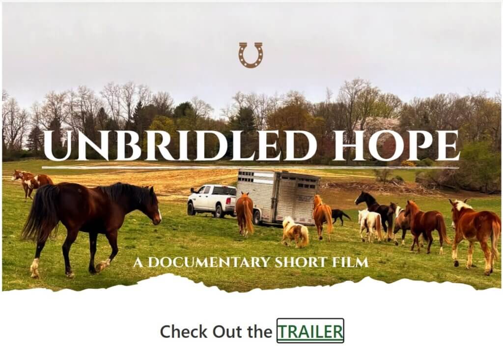 horse rescue