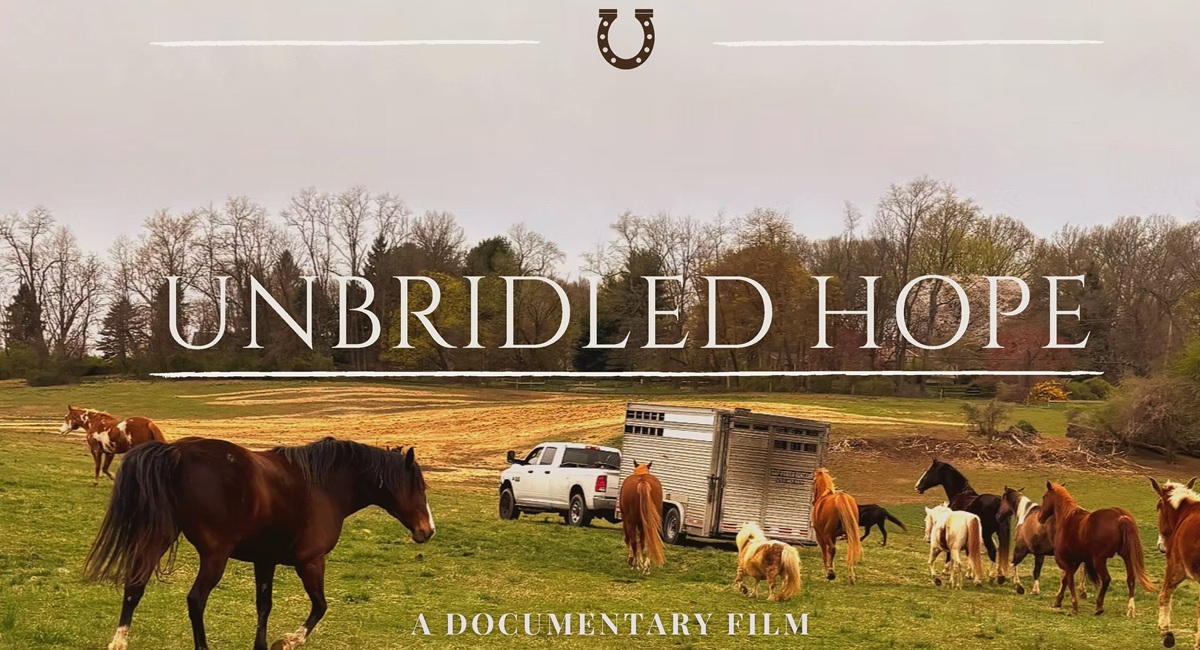horse rescue